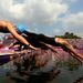 The swimmers dive in as the men's marathon 10km swim gets underway in the Serpentine.