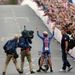 Armstrong was fastest through each split to take gold