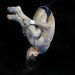 Lin misjudges his fourth dive, giving both Boudia and Daley a real chance of a medal