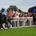 Mirrored is an impressive winner fo the VW Centre Handicap...
