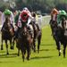 ...before Pepper Lane wins the Great St Wilfrid for the second successive season