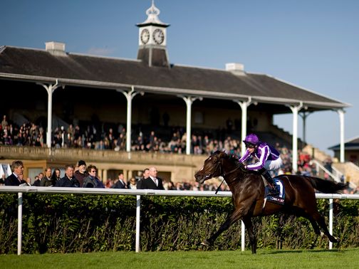 Camelot: Returns to scene of Racing Post Trophy win