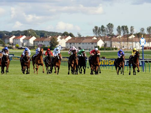 Ayr: Fit for racing on Thursday