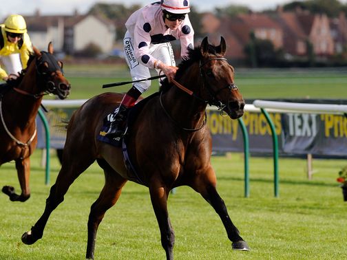 Captain Ramius: Fancied to defy a penalty at Ascot