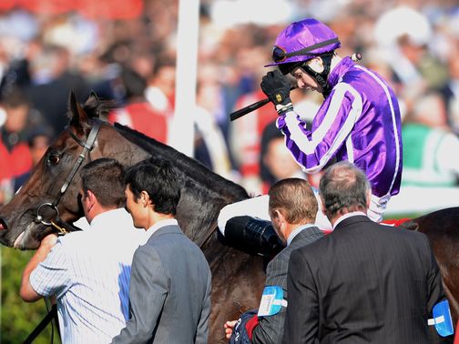 Camelot: Beaten into second place in the Ladbrokes St Leger