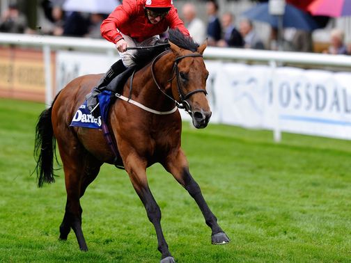 Mayson: Will make his mark at the Cheveley Park Stud