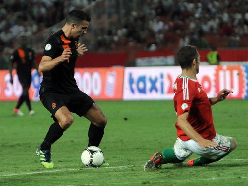 Robin van Persie: Slight injury worry