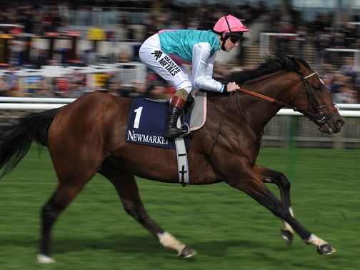 Frankel: Set to face seven rivals at Ascot