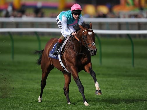 Frankel: Headline act