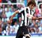 Coloccini