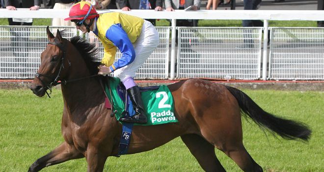 Lord Gordon Byron: One of 22 horses taken out of Ayr Gold Cup