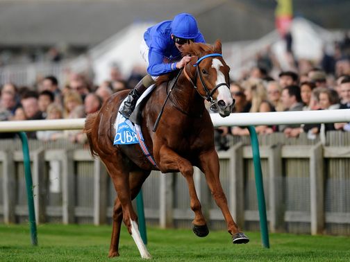 Dawn Approach: A Future Champion in the making?