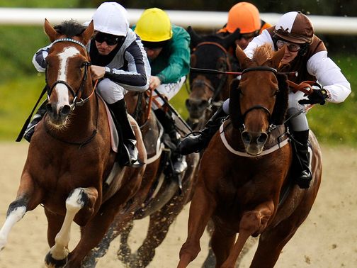 Lingfield: The NH track has passed an inspection