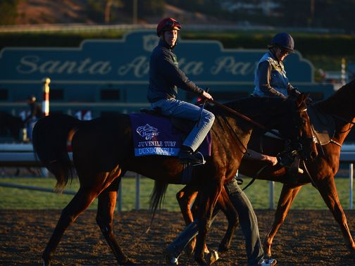 Dundonnell: Had a gentle trot