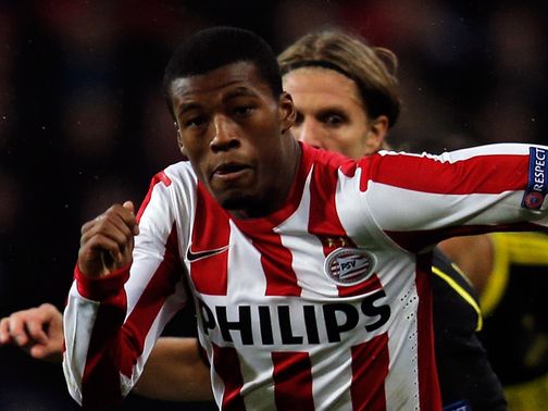 Georgino Wijnaldum: On target for PSV Eindhoven