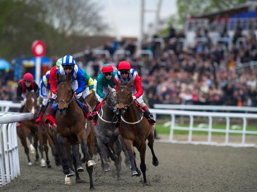 Kempton plays host to a flat card