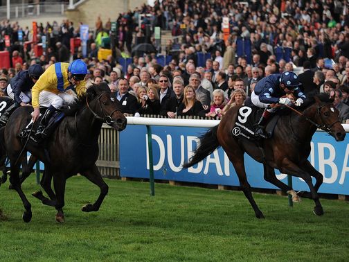 Reckless Abandon: Retained his perfect record with a sparkling performance