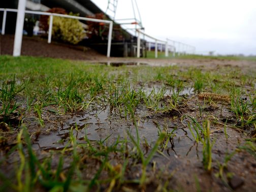 Waterlogging: Could cause problems for Leicester