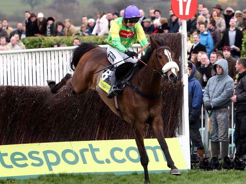 Kauto Star: Left Ditcheat