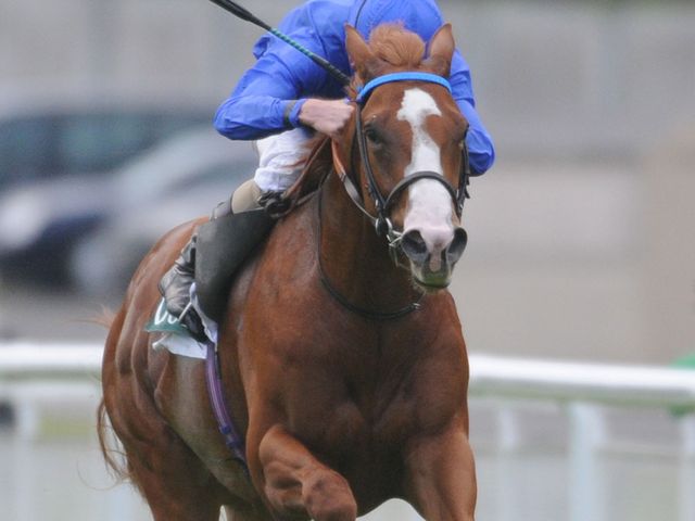 Dawn Approach: Dewhurst favourite