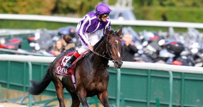 Camelot: Horse of the year