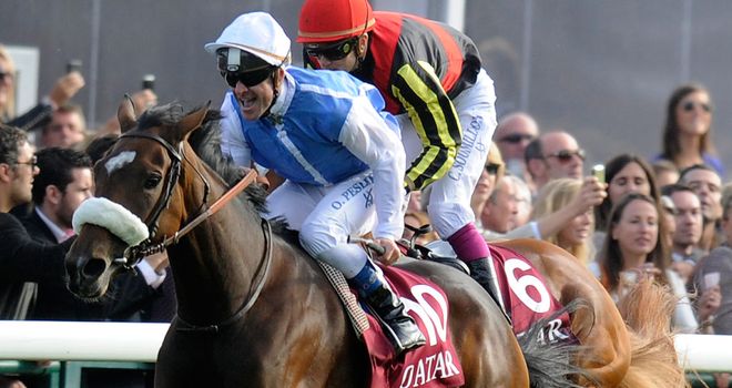 Solemia and Orfevre will do battle again on Sunday