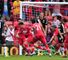 Jose Fonte celebrates a late equaliser but Nigel Adkins has plenty to think about