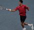 Novak Djokovic: Into the last four