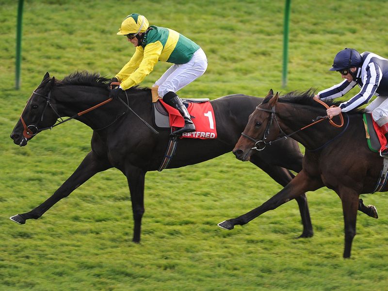 Aaim To Prosper won the Cesarewitch again, this time at 66-1!
