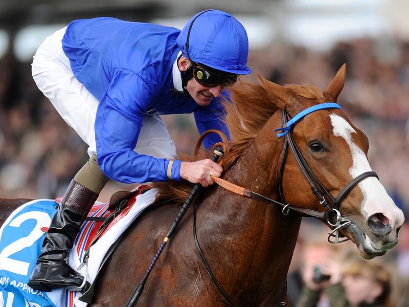 Dawn Approach was going clear at the line