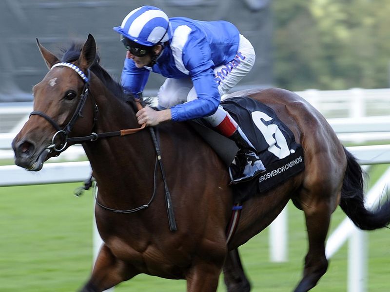 Hawaafez was impressive in the Cumberland Lodge