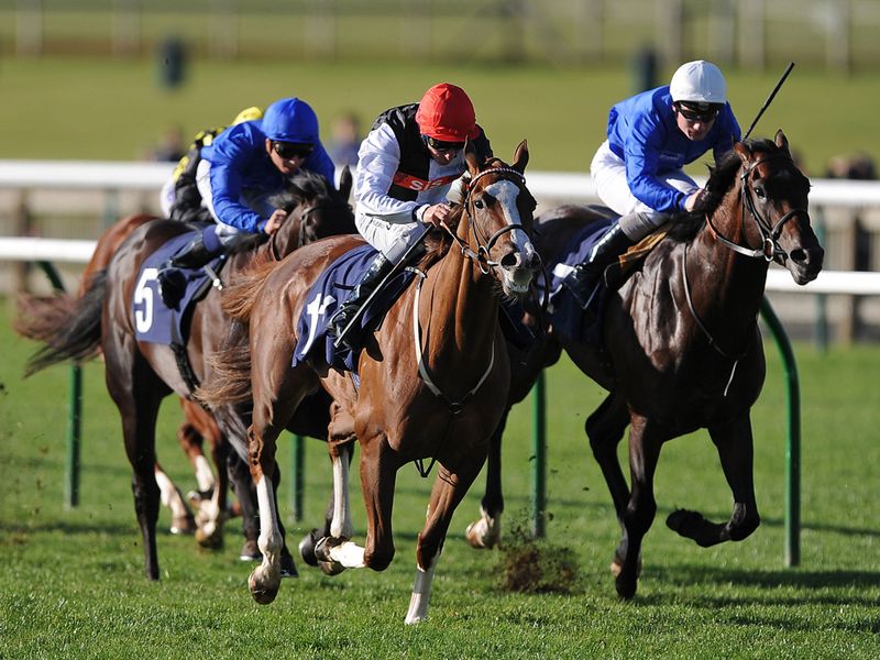 Our Obsession lands a gamble at HQ