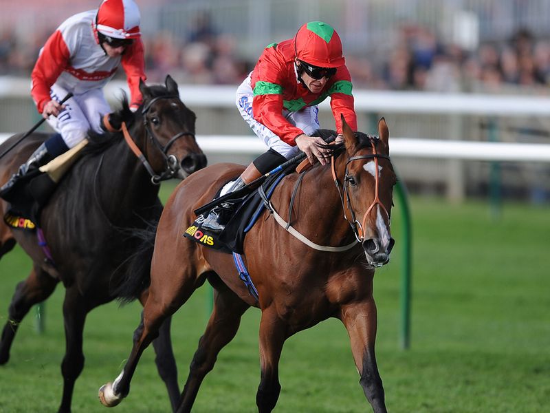 Victrix Ludorum wins at Newmarket