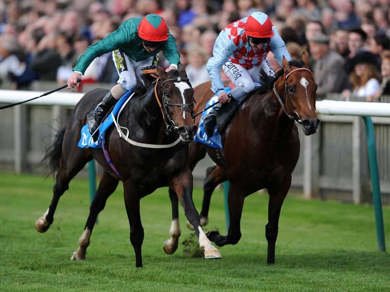 Fulbright gets the better of Red Jazz in the Challenge Stakes