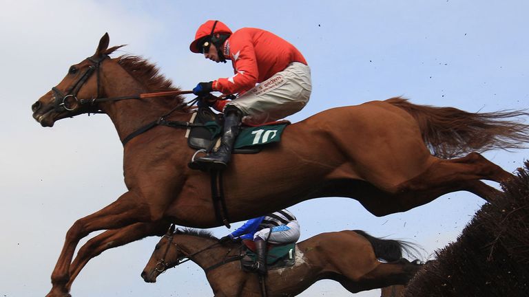 Harry The Viking: Will be entered in John Smith's Grand National