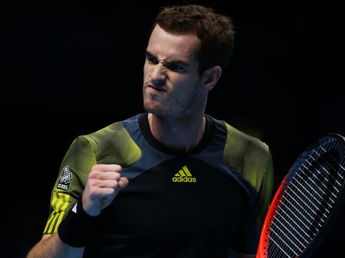 Andy Murray: Tipped for further glory in 2013