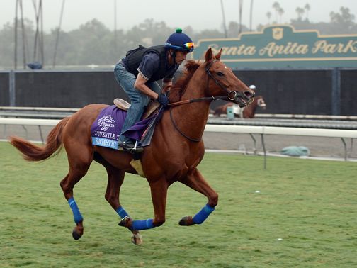 Fantastic Moon: Looks the one to beat in the Juvenile Turf