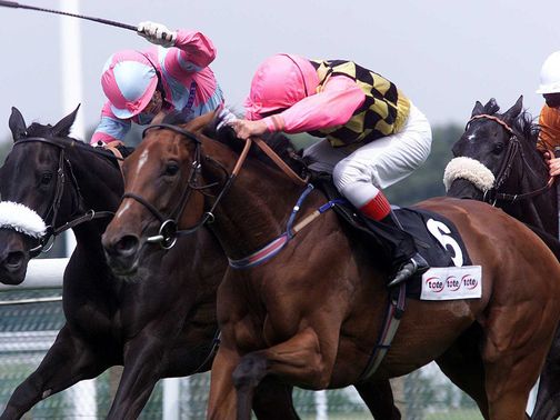 Flossy: Guy Reed's 1999 November Handicap winner