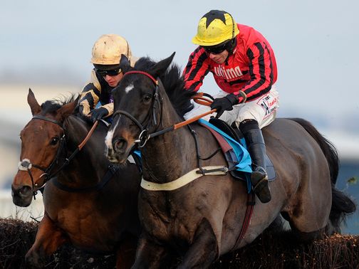 Bless The Wings: Hated the testing ground at Cheltenham