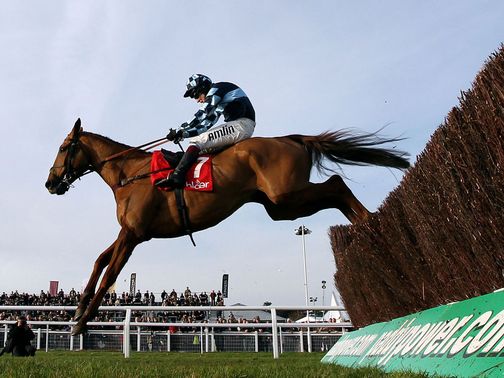 Wishfull Thinking: Doesn't go at Cheltenham