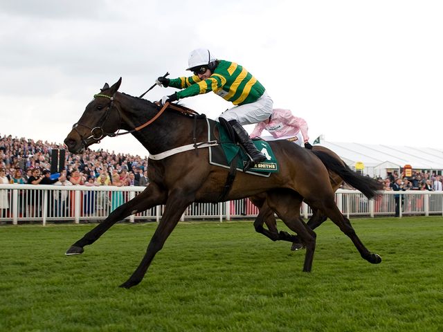 Darlan: Needs to prove himself a Champion Hurdle contender