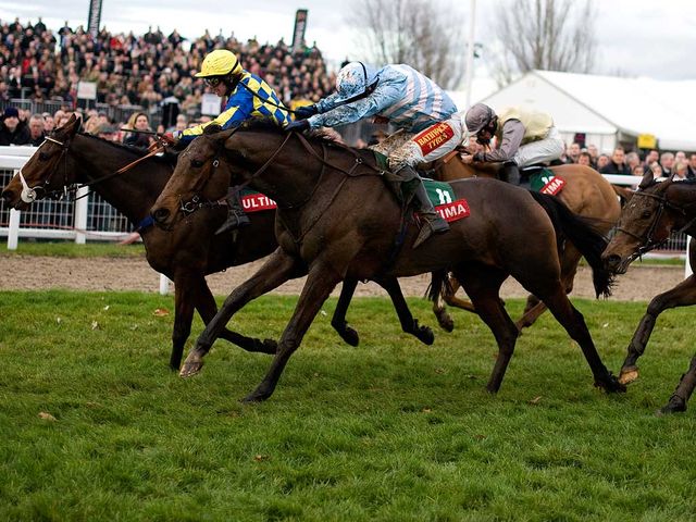Goulanes: Scored on his chasing debut at Wetherby