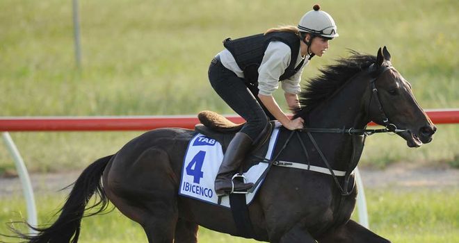 Ibicenco: Fine win in the Sportingbet Sandown Cup