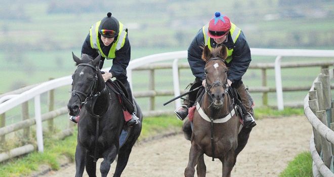 Sanctuaire (left): Works at Paul Nicholls' yard on Wednesday