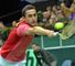 Nicolas Almagro: Beaten by Radek Stepanek in decisive singles rubber