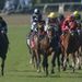 Mizdirection (left) swoops late to win the Turf Sprint