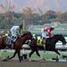 Fort Larned sees off Mucho Macho Man to land the Classic