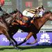 Little Mike holds on from Point Of Entry