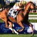Wise Dan in full flow