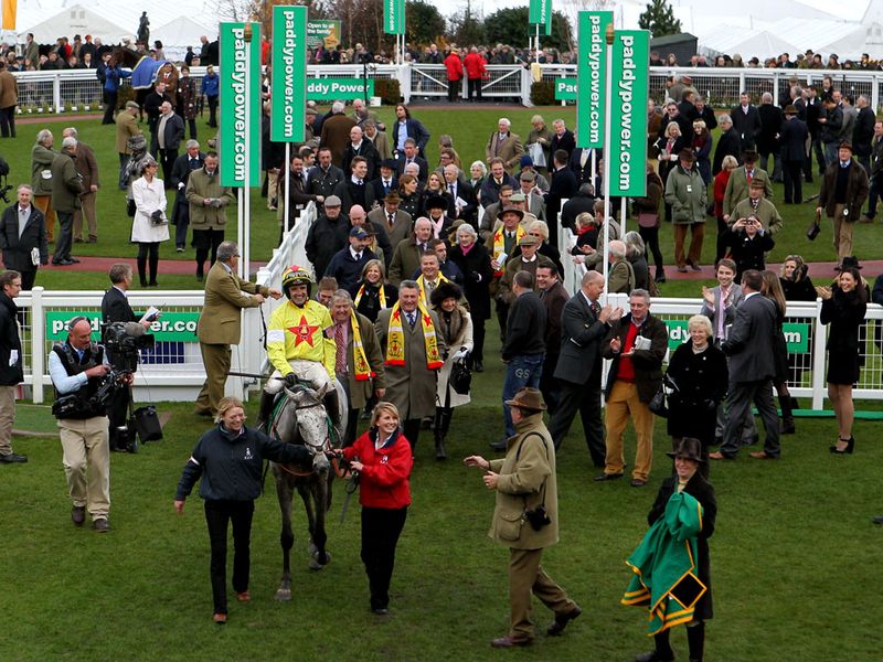 Al Ferof enters the winners' enclosure at Cheltenham